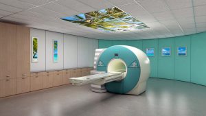 SCEM_PG_MRI
