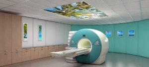 SCEM_PG_MRI